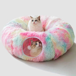 Two cats resting in donut tunnel bed for cats on white background