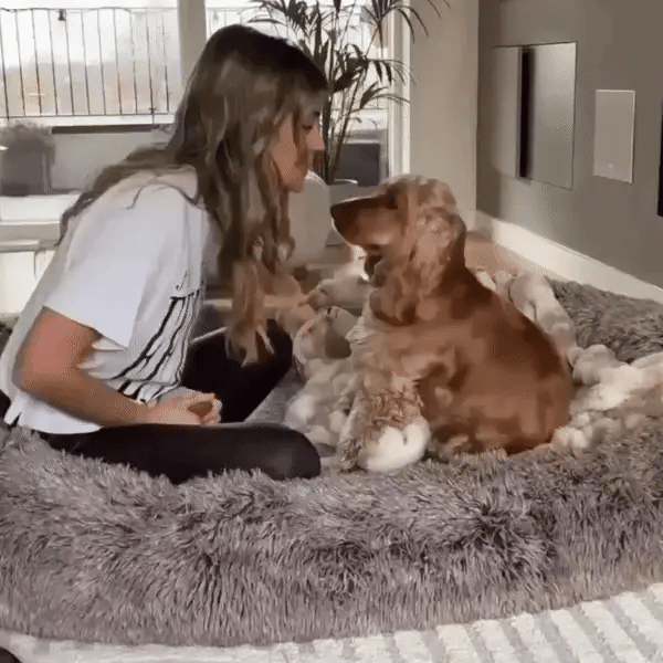 A happy dog cuddles up and kisses its owner on a big human dog bed