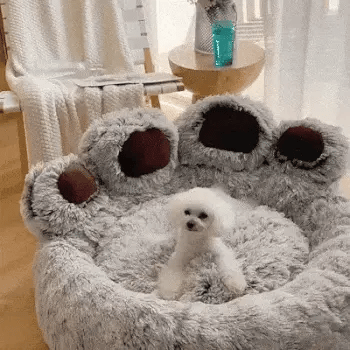 small dog resting in a paw dog bed with raised sides and padded paw toes