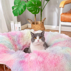 Grey cat sitting comfortably in a colorful fluffy cat bed with pastel hues of pink and blue.
