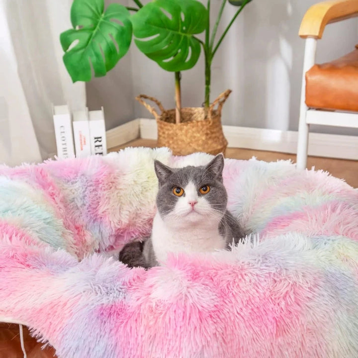 Grey cat sitting comfortably in a colorful fluffy cat bed with pastel hues of pink and blue.