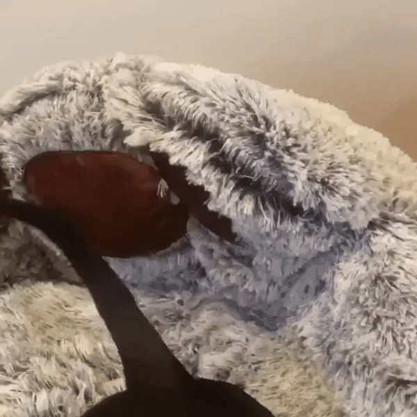 close-up of a dog paw bed with fluffy grey cover and soft paw pads