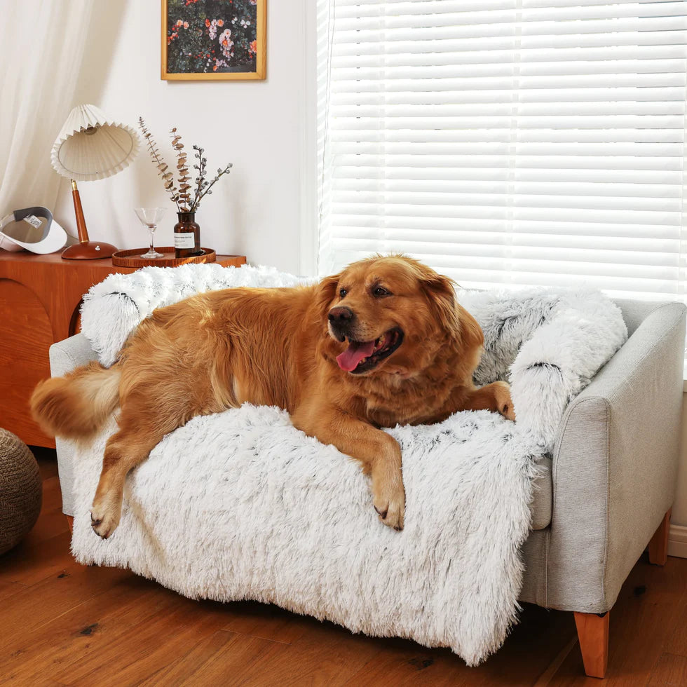 Golden retriever relaxing on a plush fluffy dog couch bed with pillow, providing comfort and style for large dogs.