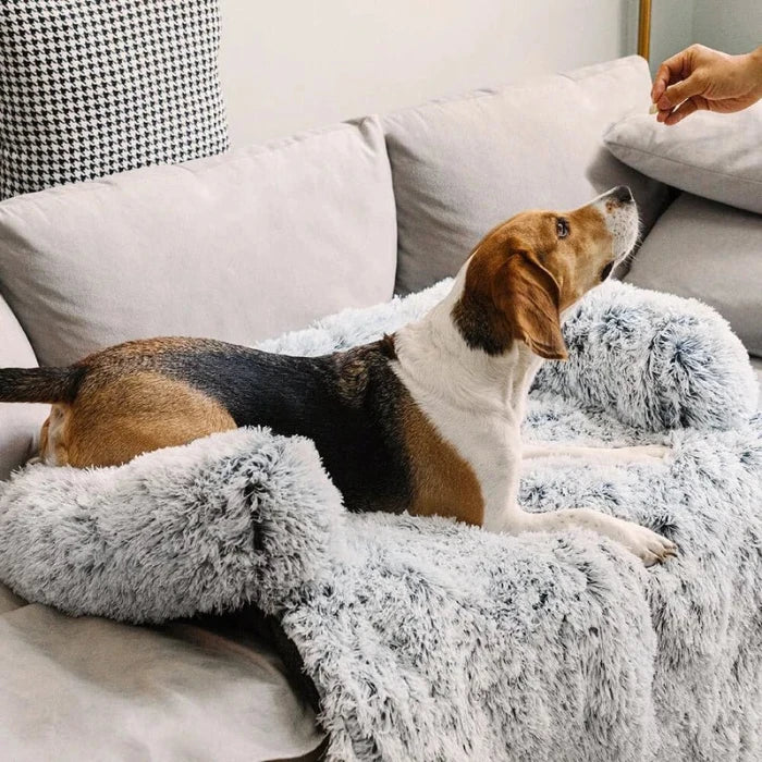 eagle relaxing on a fluffy dog couch bed with pillow for extra comfort and support, perfect for pets on sofas.