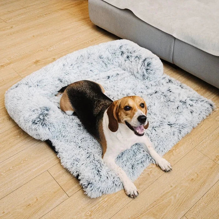 Beagle lounging on a soft, fluffy dog couch bed with pillow, offering cozy comfort and protection for your pet.