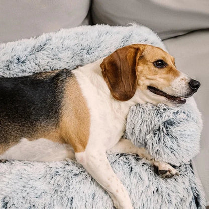 Beagle resting comfortably on a fluffy dog couch bed with pillow, designed for cozy lounging and pet relaxation.