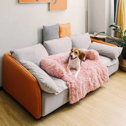 Beagle sitting on a pink fluffy dog couch bed with pillow, providing comfort and protection for sofa furniture.