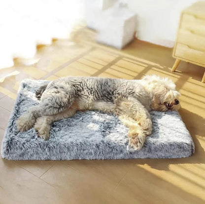 Fluffy dog enjoying a soft orthopedic mattress for ultimate comfort and support from FluffyPuppy Pet Store.