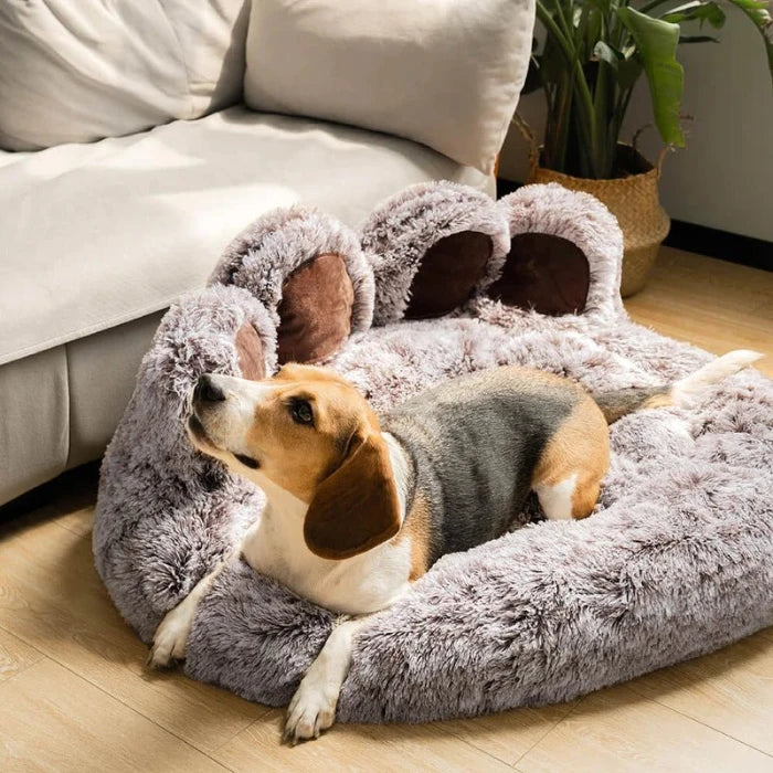 Beagle relaxing on a fluffy paw-shaped dog bed, offering maximum comfort and style for your pet's lounging needs.