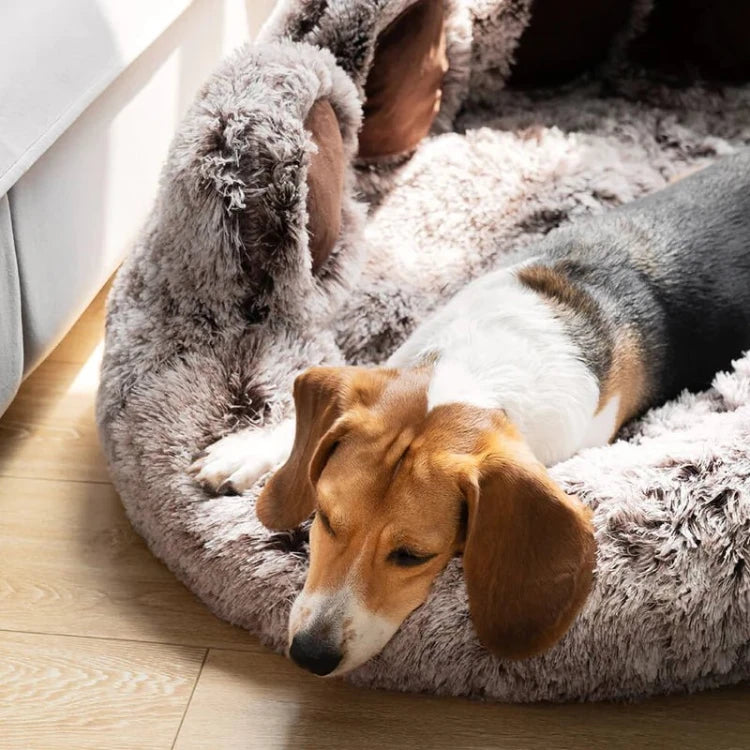 Beagle resting comfortably in a fluffy paw-shaped dog bed, offering plush support and warmth for a cozy nap.