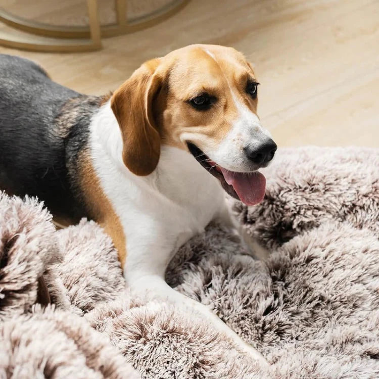 Happy dog resting comfortably on a fluffy paw-shaped dog bed, perfect for cozy and secure lounging.