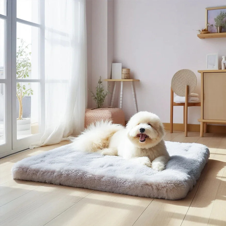 Fluffy dog relaxing on a plush pet bed in a sunlit room, showcasing luxurious comfort from FluffyPuppy pet supplies.