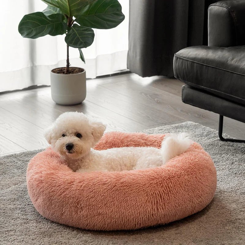 Small white dog relaxing on a fluffy pink round dog bed, perfect for cozy and comfortable pet lounging.