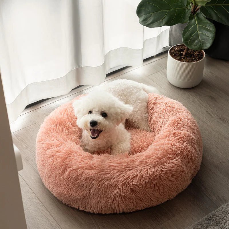 Small white dog resting in a pink fluffy round dog bed, offering comfort and support for pets to relax indoors.