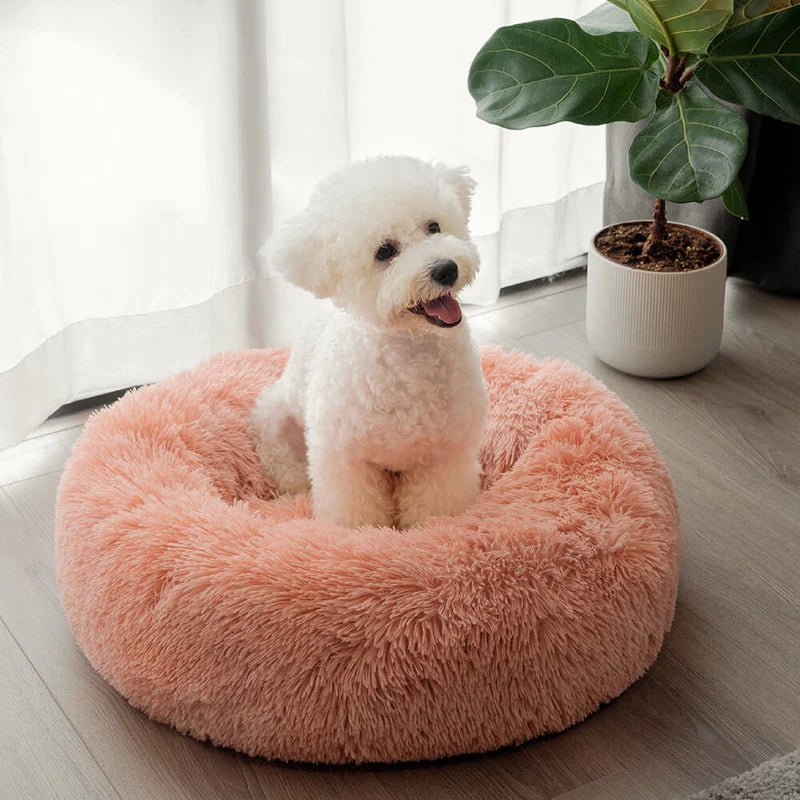 Adorable white dog sitting on a plush pink round dog bed, providing ultimate comfort and style for your pet.