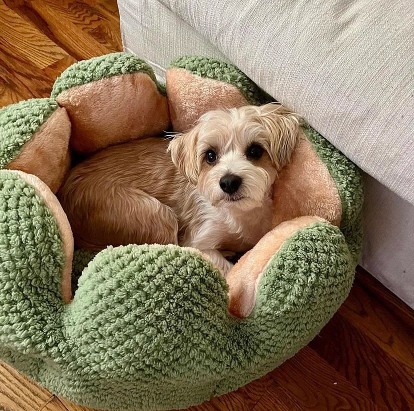 A small, adorable dog resting comfortably in a cozy, cactus-shaped pet bed, showcasing warmth and relaxation.