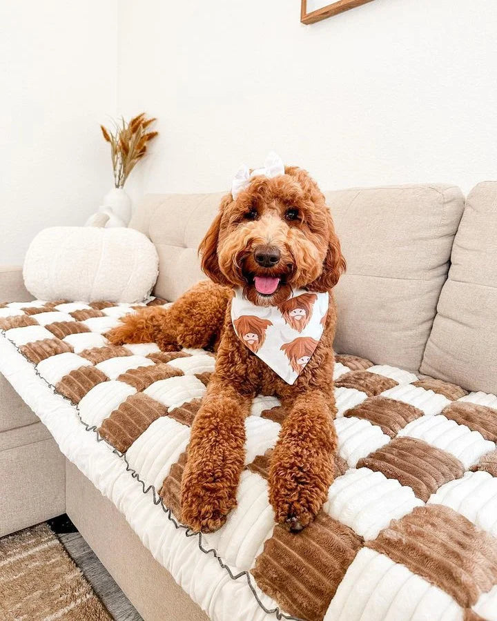 Happy dog wearing a stylish bandana, lounging on a cozy pet blanket in a modern living room setting.