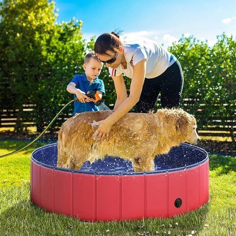 A large dog being bathed by mother and her son in a foldable dog swimming pool outdoors