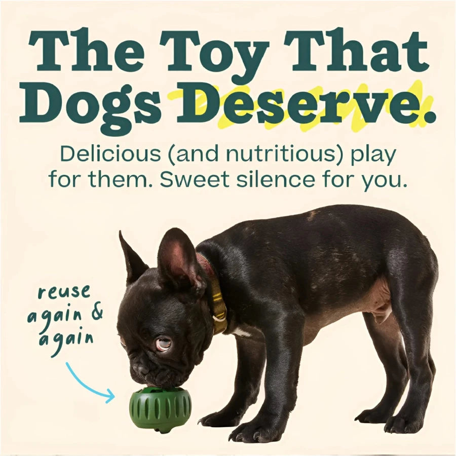 French Bulldog playing with a reusable freezable dog toy, offering nutritious fun and a quiet solution for pet owners.