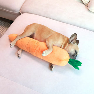 French Bulldog sleeping on a giant carrot-shaped dog toy, plush and cozy for snuggling and comfort.
