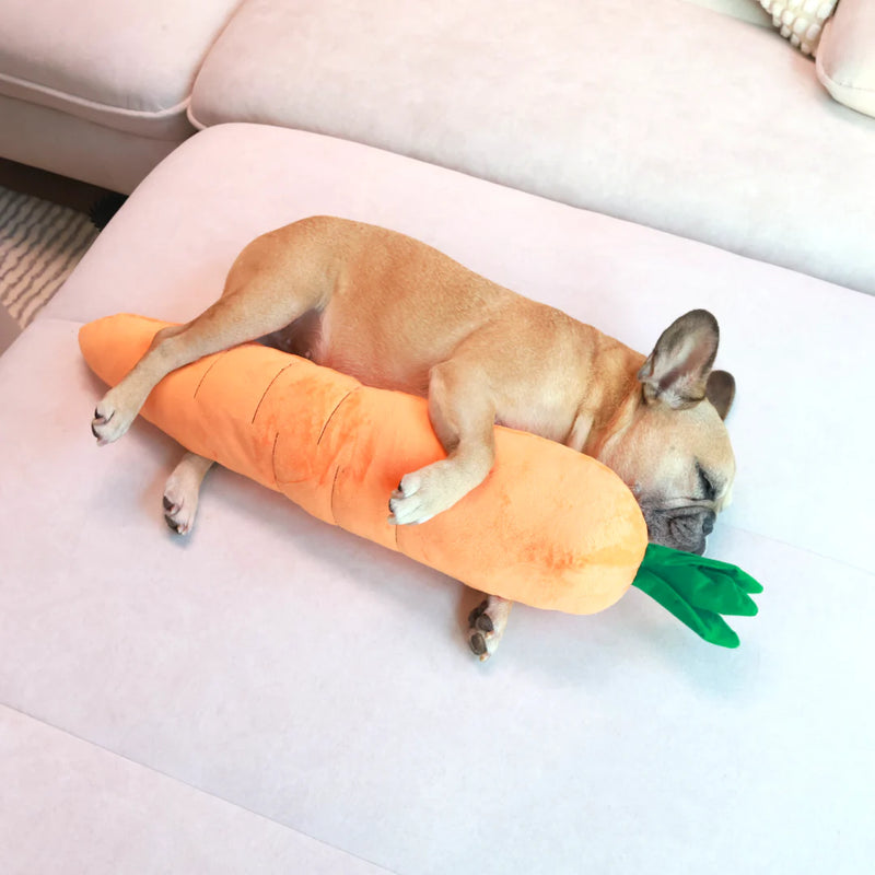 French Bulldog sleeping on a giant carrot-shaped dog toy, plush and cozy for snuggling and comfort.