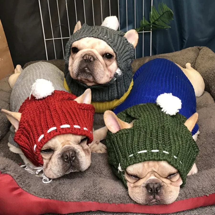 Four French bulldogs resting together in colourful Frenchie winter hats with white pom-poms