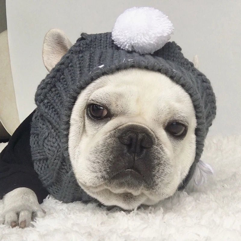 French Bulldog wearing a cozy gray hat with ear holes and pom-pom, perfect for keeping your dog warm in winter.