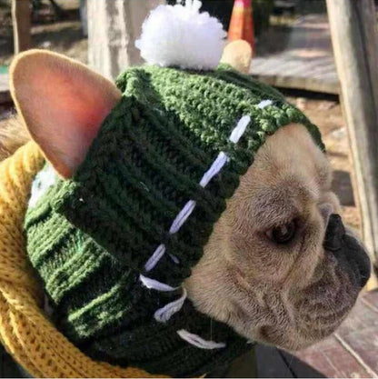 French Bulldog in a green winter hat with ear holes and a pom-pom, perfect for keeping your dog cozy during cold walks.