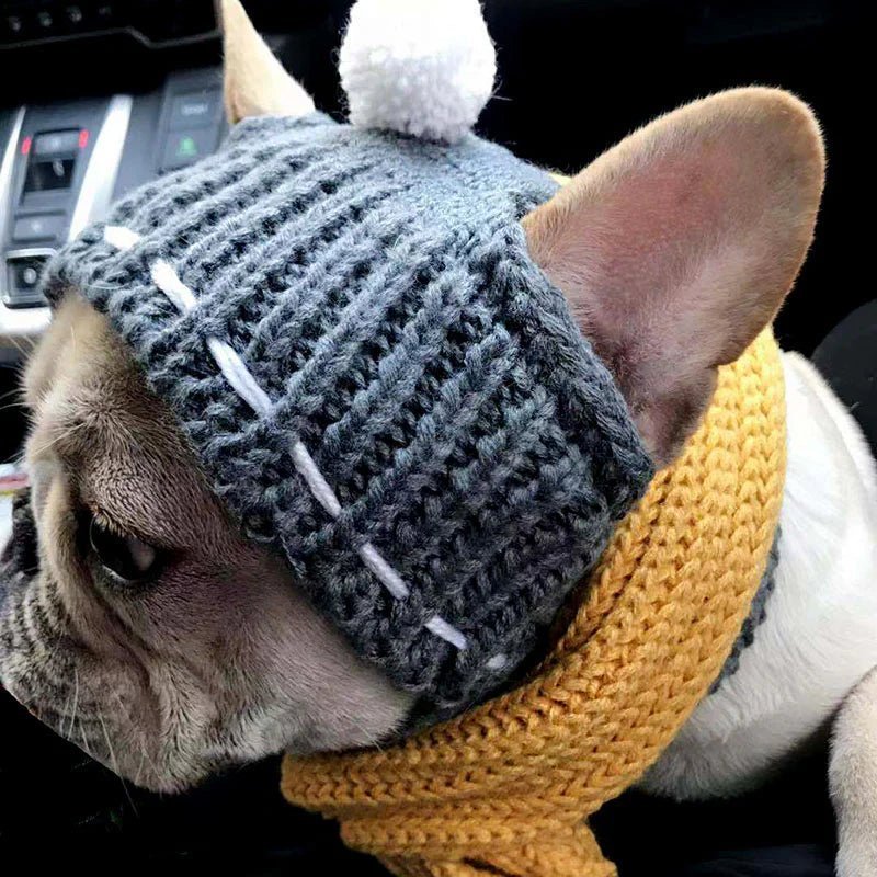 French Bulldog wearing a stylish grey winter hat with ear holes, ideal for keeping your pet warm and comfortable outdoors.