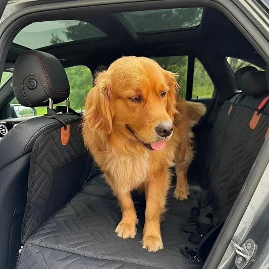 Golden Retriever standing on a waterproof dog car seat cover, ensuring comfort and cleanliness during travel