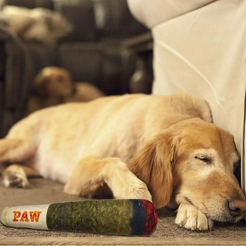 Golden Retriever sleeping beside the Splif dog toy with a joint-inspired design, ideal for chewing and play.