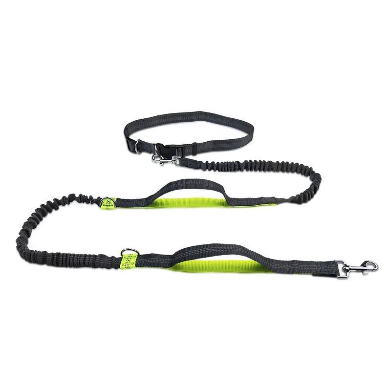Running leash for large dogs with waist belt and bungee leash on white background