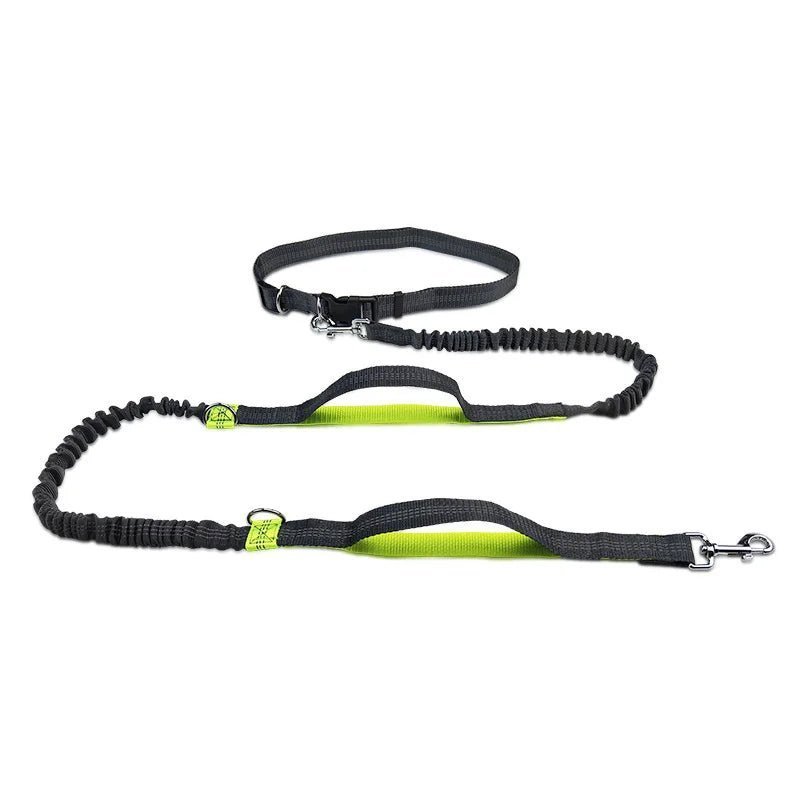 Hands-free dog leash with reflective bungee for running, featuring adjustable waist belt for comfortable pet control.