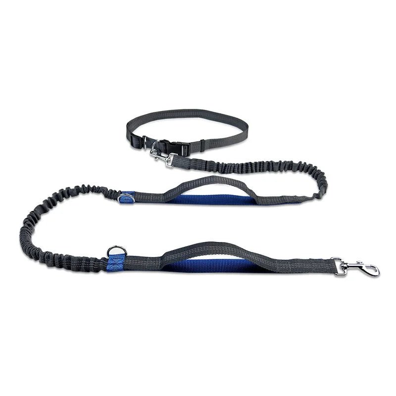 Hands-free dog leash with reflective bungee for running, featuring adjustable waist belt for comfortable pet control.