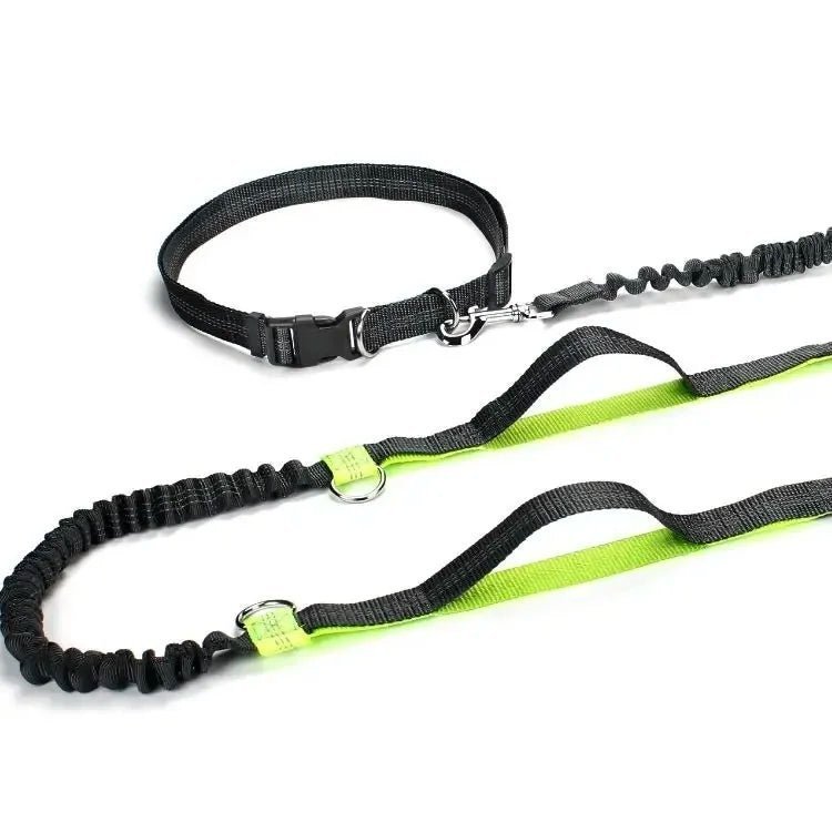 Hands-free dog leash with reflective bungee for running, featuring adjustable waist belt for comfortable pet control.