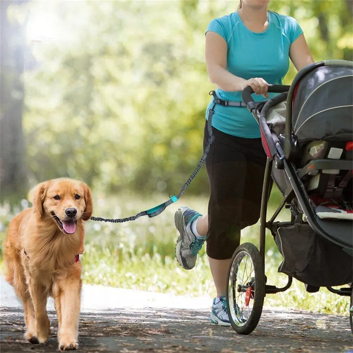 Woman jogging with a stroller while using a hands free running leash for dogs