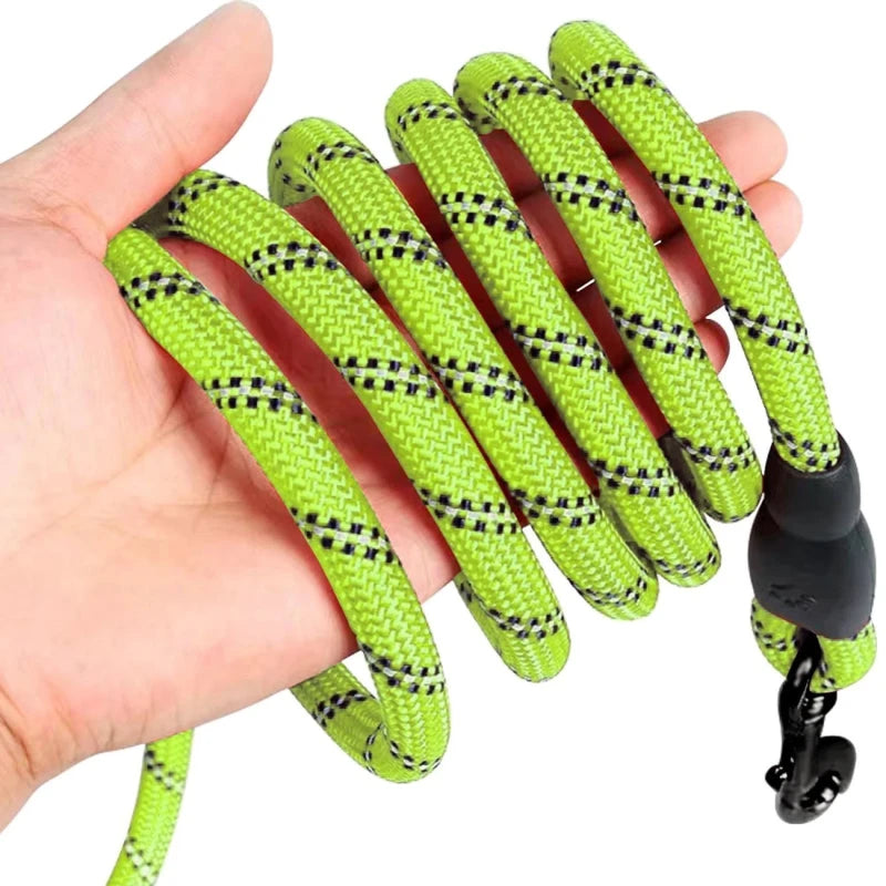 Bright green heavy-duty nylon rope dog leash held in hand, featuring a durable clip for secure attachment.