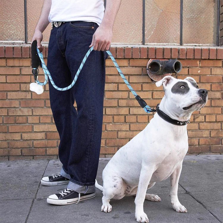 Man walking a dog with a blue heavy-duty nylon rope leash featuring a padded handle for comfort and control.