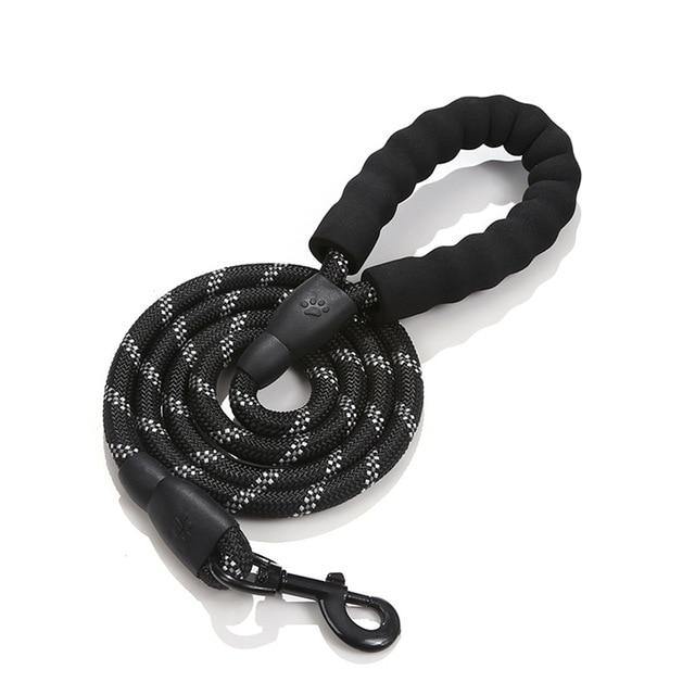 Heavy-duty nylon rope dog leash with padded handle, durable and comfortable for walks, hiking, and outdoor adventures.