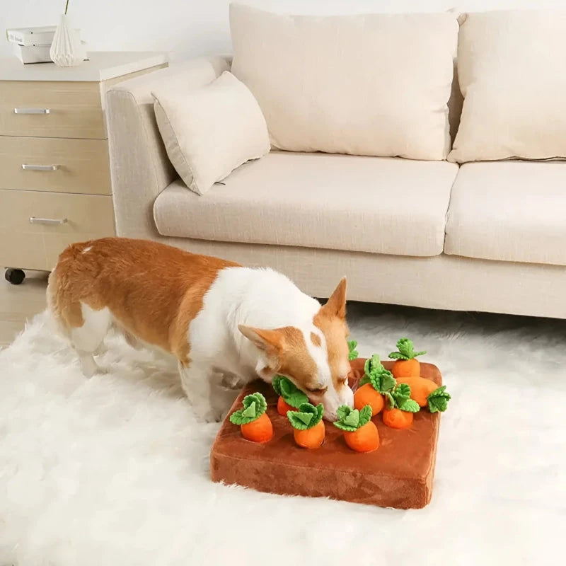Carrot sniffing dog toy as a small dog searches plush carrots on the mat