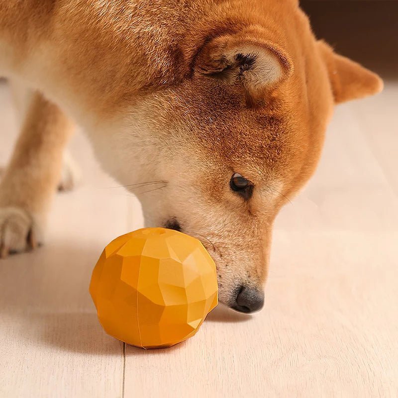 Dog playing with an orange interactive treat-dispensing toy, designed to engage and mentally stimulate pets during play.