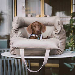 Small knight gray pet car bed with dachshund