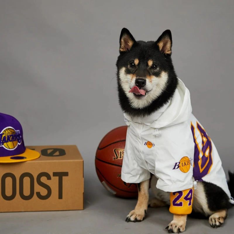 Shiba inu wearing lakers dog zip jacket in white beside a ball and cap