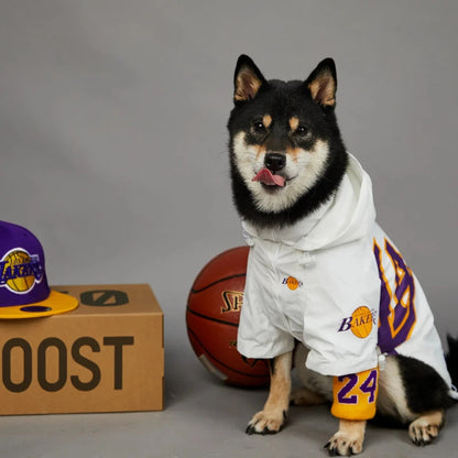 Stylish dog in a Lakers jacket with basketball and cap, perfect for sports-loving pet owners.