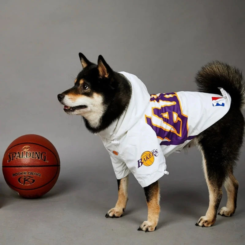 Shiba Inu wearing a Lakers dog jacket next to a basketball, perfect for sports-loving pet owners and Lakers fans.