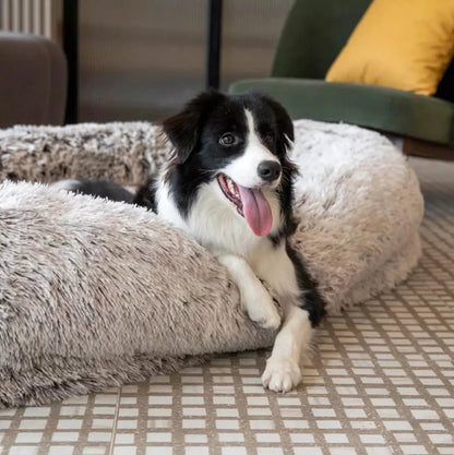 Happy dog relaxing in a large fluffy human dog bed, offering ultimate comfort for pets in a stylish home environment.