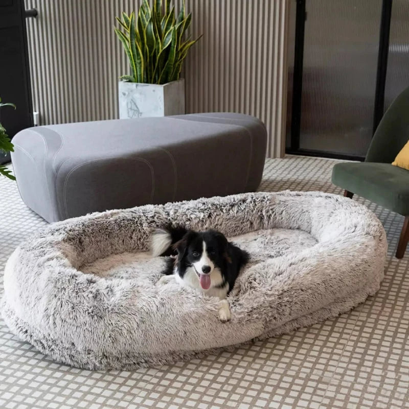 Large fluffy human dog bed with a happy dog lounging, perfect for ultimate comfort and style in any modern home setting.