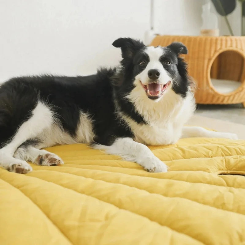 Happy dog lounging on a comfortable yellow leaf-shaped pet mat, perfect for relaxation and warmth.