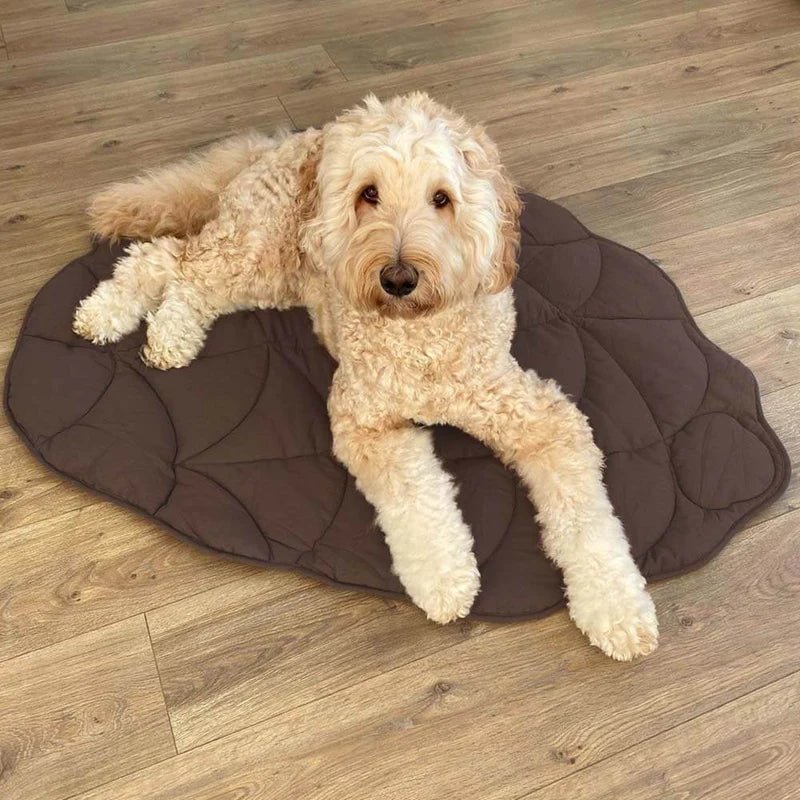 Golden Doodle resting on a brown leaf-shaped pet mat, perfect for indoor use on hardwood floors.