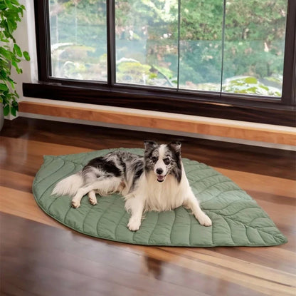 Border Collie resting on a green leaf-shaped pet mat near a large window with a scenic outdoor view.